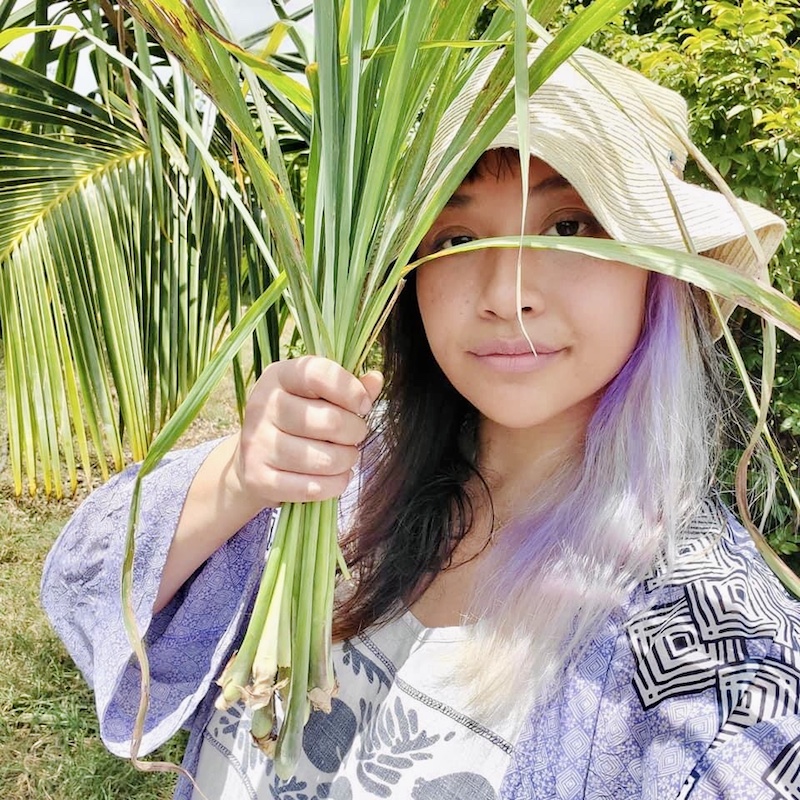 植物を持つ女性の写真