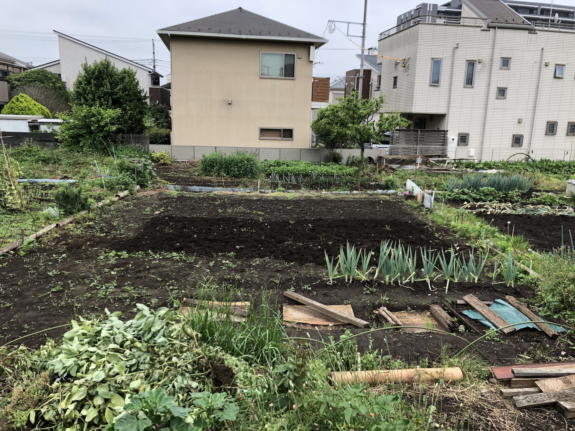 住宅街にある畑の写真