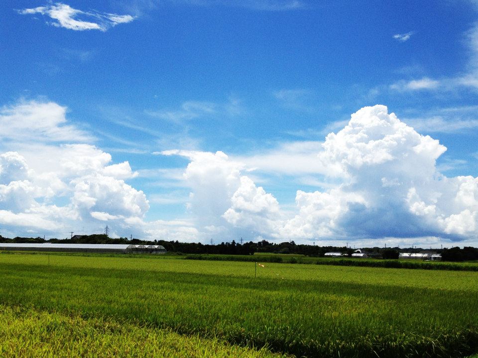 自然に囲まれた風景