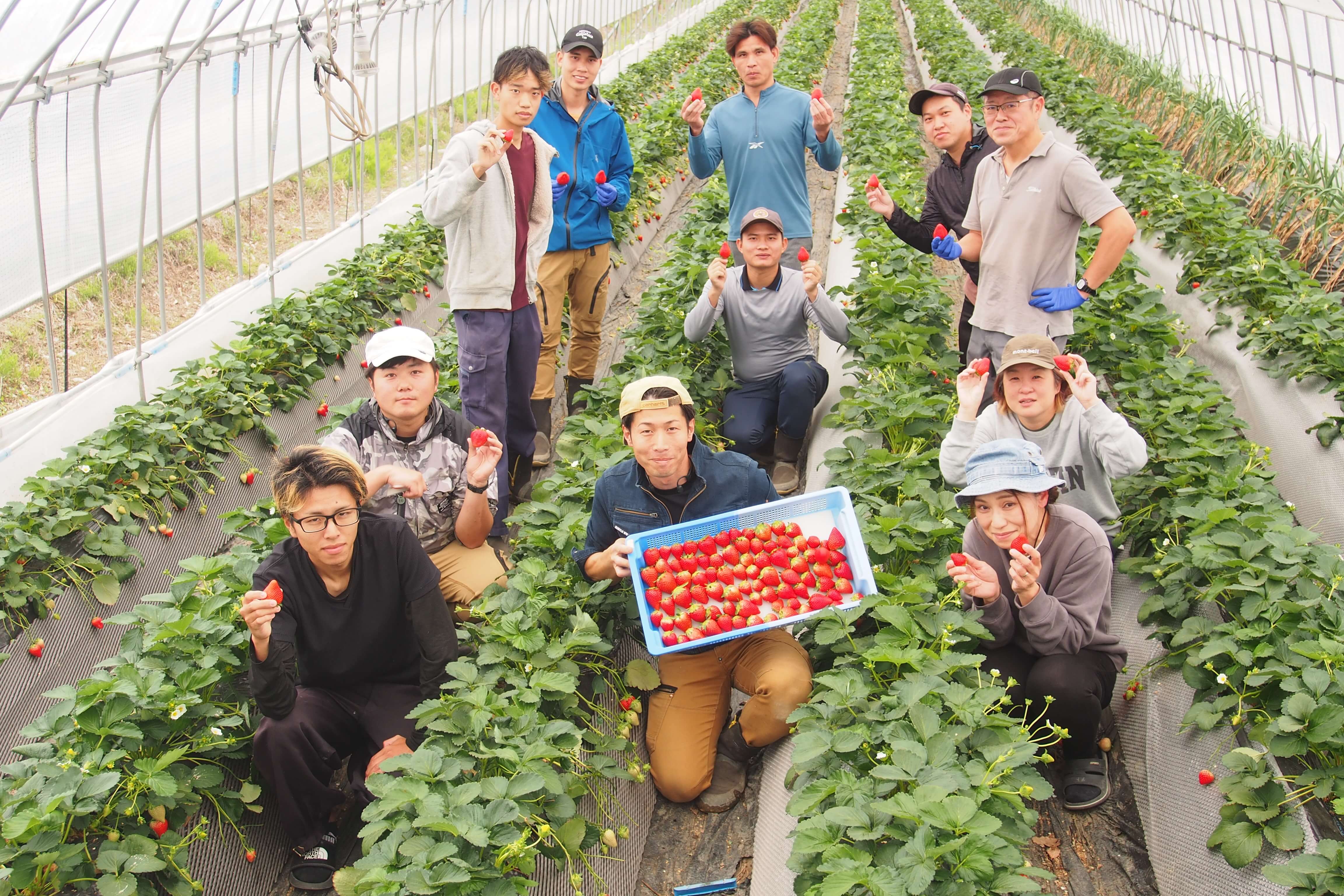 栃木の自社農園「Berry Good farm」のみなさん