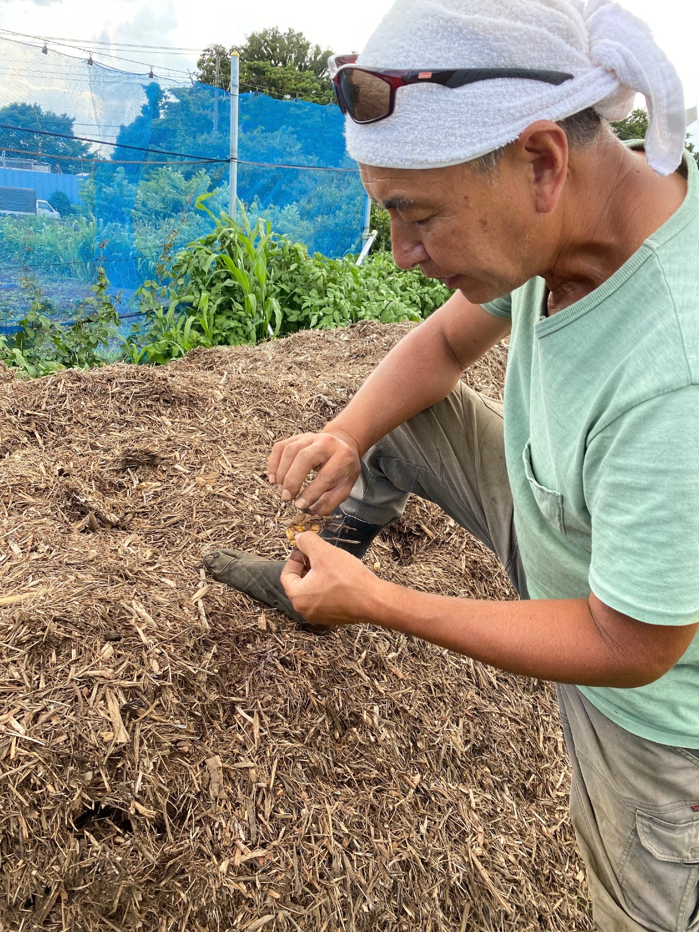 茅ヶ崎どっこいファーム 木屑