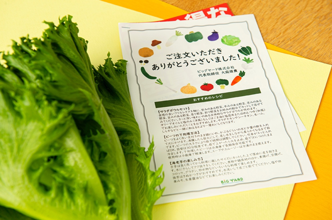 産直アウル-野菜の詰め合わせセットのパンフレット類