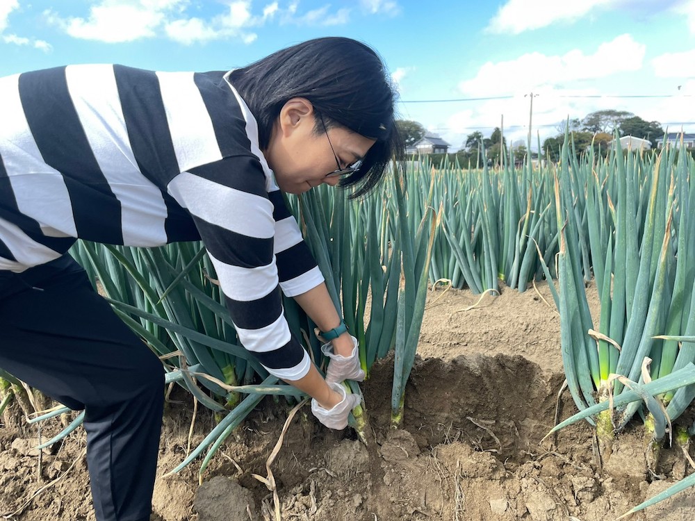 ねぎを抜いている写真