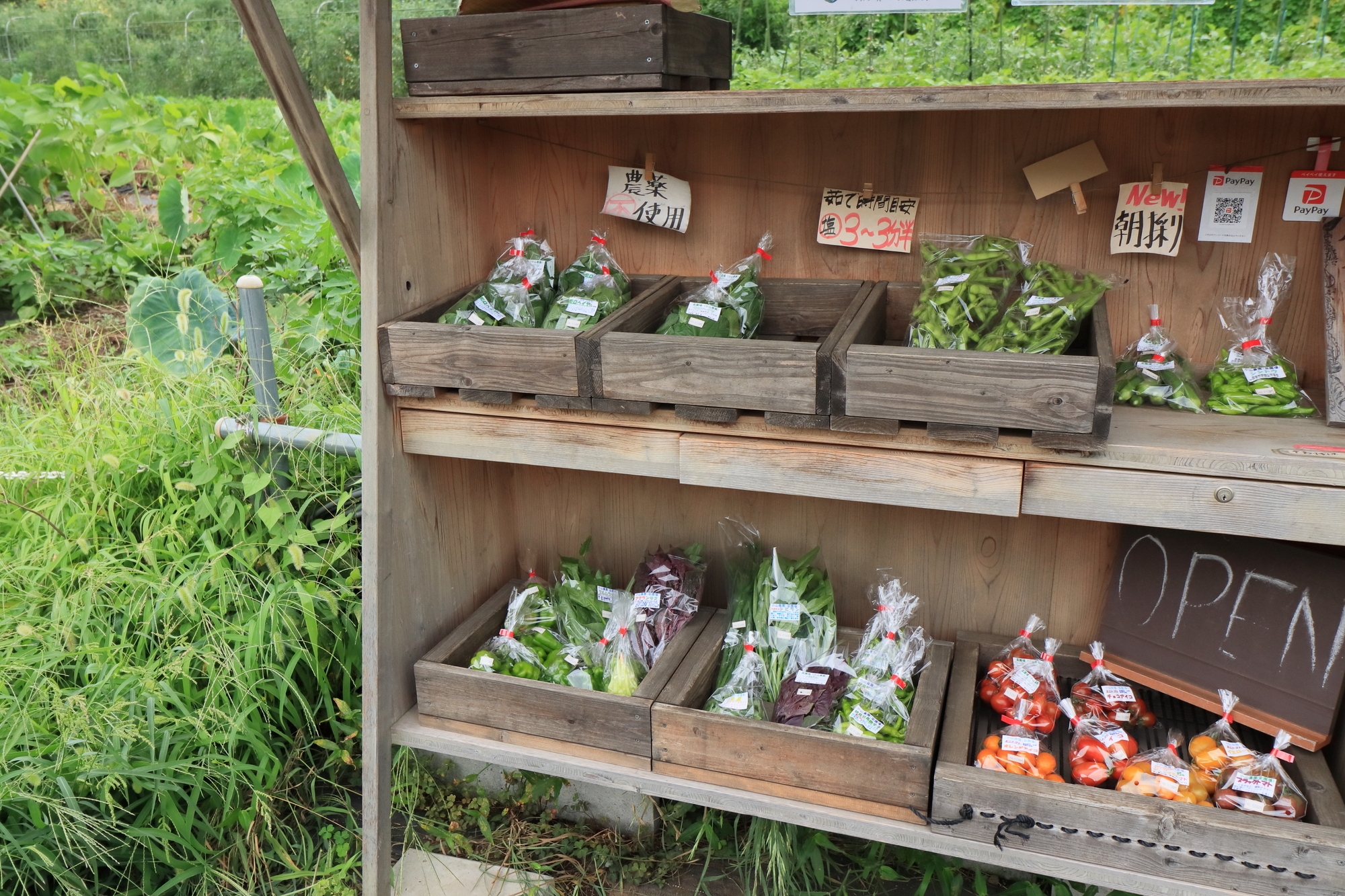 野菜の直売所