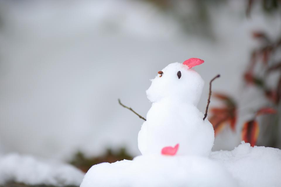 日本の暦と旬の野菜】大雪(たいせつ)とほうれんそう[2024年12 日本の暦と旬の野菜】大雪(たいせつ)とほうれんそう[2024年12
