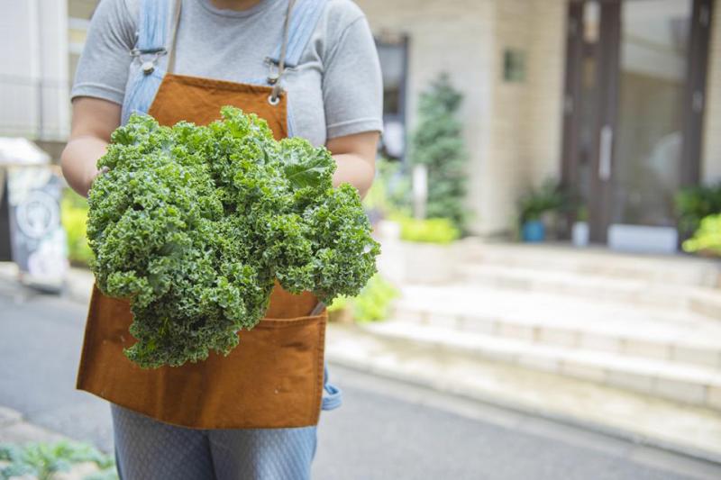 Curly kale